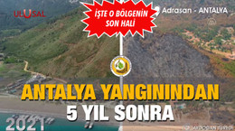 Antalya yangınından 5 yıl sonra: İşte o bölgenin son hali
